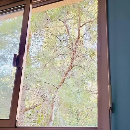 T2 Vue Dans Calme / T2 Sea View In A Quiet